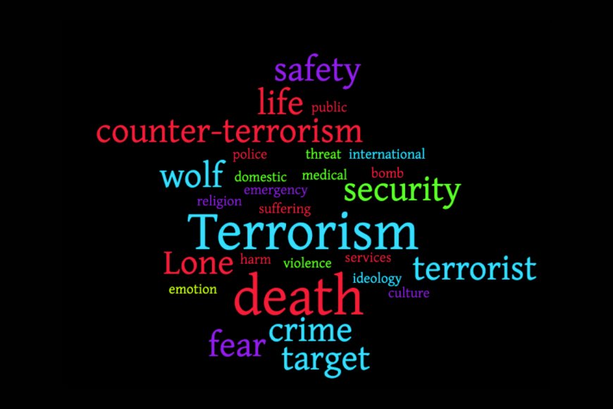 Global Perspectives on Terrorism and Security