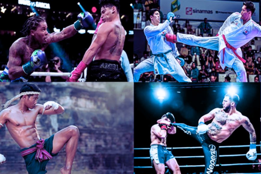 Combat Sports: A Journey Through Athletic Mastery