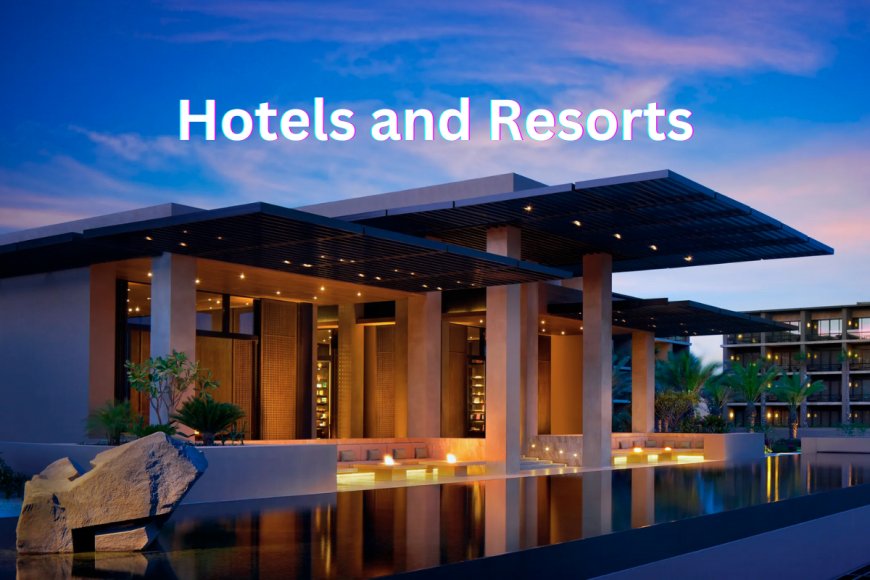 Exploring Luxury and Comfort: Hotels and Resorts